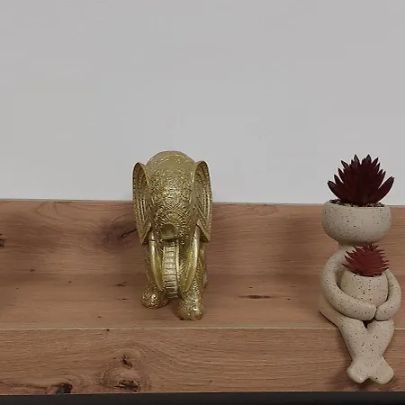 게스트하우스 Royal *